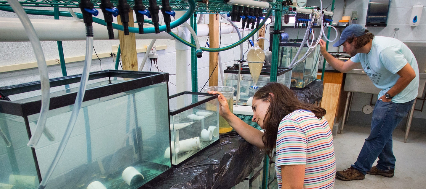 Graduate students doing research at the Great Lakes Center